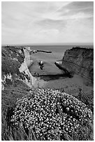 Wildflowers and cliffs, Wilder Ranch State Park, afternoon. California, USA ( black and white)