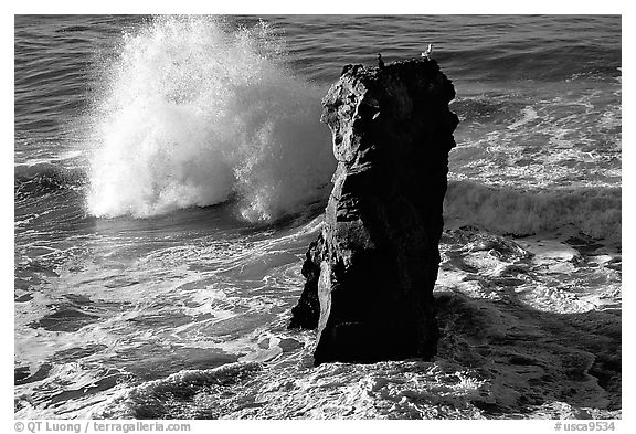 Wave and seastack morning. Santa Cruz, California, USA (black and white)