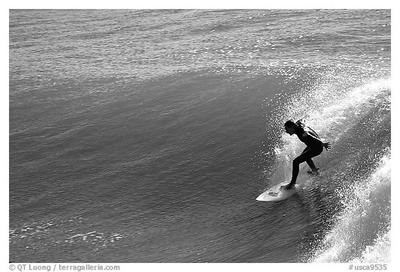 Surfer, morning. Santa Cruz, California, USA (black and white)