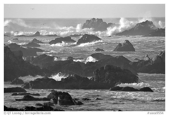 Surf and rocks, Ocean drive. Pacific Grove, California, USA (black and white)