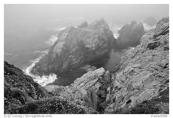 Pinnacle Cove with fog. Point Lobos State Preserve, California, USA