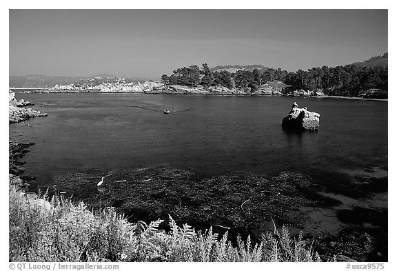 Whalers cove. Point Lobos State Preserve, California, USA (black and white)