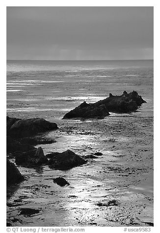 Rocks and sun reflections. Big Sur, California, USA
