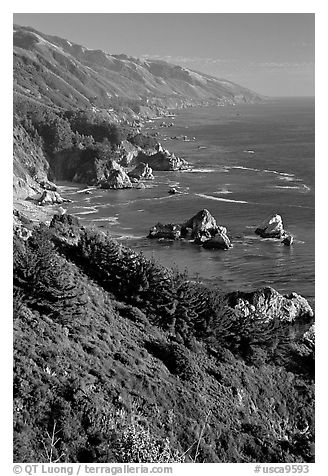 Cost from Partington Point, Julia Pfeiffer Burns State Park. Big Sur, California, USA (black and white)