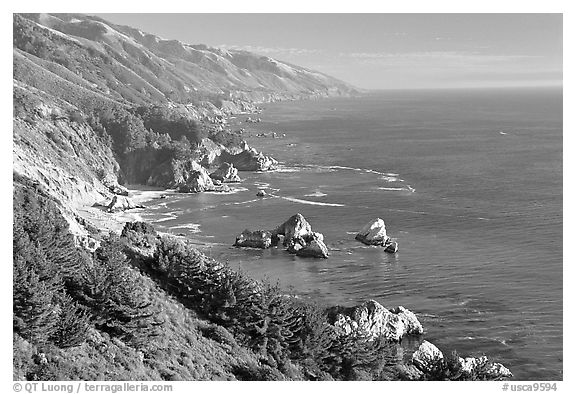 Costline from Partington Point, Julia Pfeiffer Burns State Park, late afternoon. Big Sur, California, USA
