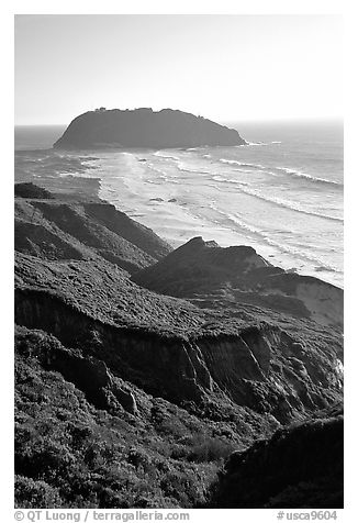 Point Sur. Big Sur, California, USA (black and white)
