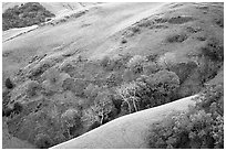Rolling Hills in spring near San Luis Obispo. Morro Bay, USA ( black and white)