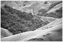 Rolling Hills in spring near San Luis Obispo. California, USA (black and white)