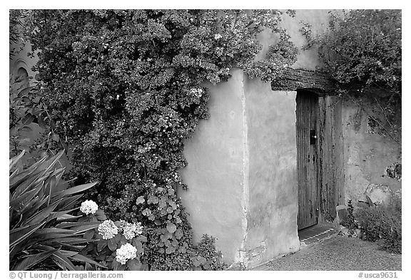 Flowers and wall of Mission. Carmel-by-the-Sea, California, USA