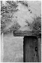 Flowers and wall, Carmel Mission. Carmel-by-the-Sea, California, USA ( black and white)