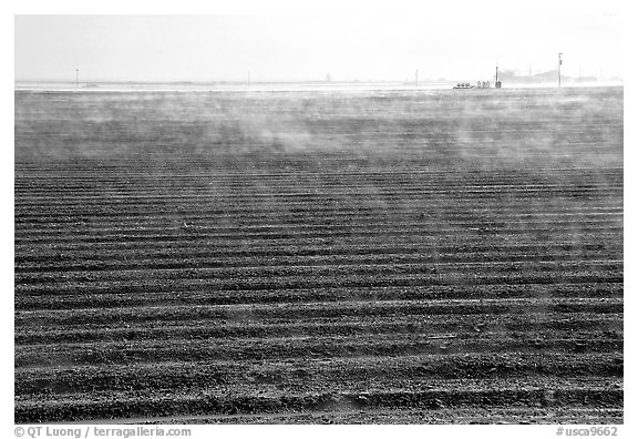 Mist and plowed field, San Joaquin Valley. California, USA