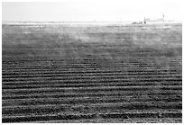 Mist and plowed field, San Joaquin Valley. California, USA ( black and white)