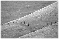 Fence on hill, Southern Sierra Foothills. California, USA ( black and white)