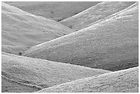 Ridges, Southern Sierra Foothills. California, USA (black and white)