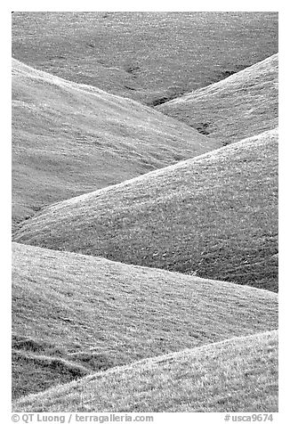 Ridges, Southern Sierra Foothills. California, USA