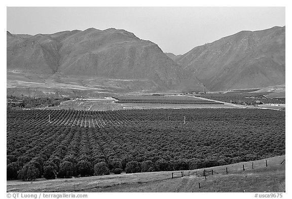 Irigated farmlands, Southern Sierra Foothills. California, USA