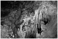 Delicate cave formations, Mitchell caverns. Mojave National Preserve, California, USA (black and white)