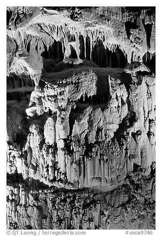 Cave formations, Mitchell caverns. Mojave National Preserve, California, USA (black and white)