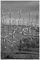 Windmill farm, Tehachapi Pass. California, USA ( black and white)