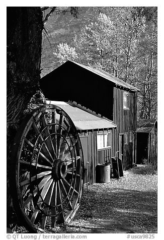 Rustic cabin in autumn, Lundy Canyon, Inyo National Forest. California, USA (black and white)