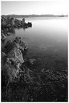 Tufas at sunrise. Mono Lake, California, USA (black and white)
