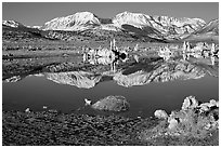 Tufas and Sierra, winter sunrise. Mono Lake, California, USA (black and white)