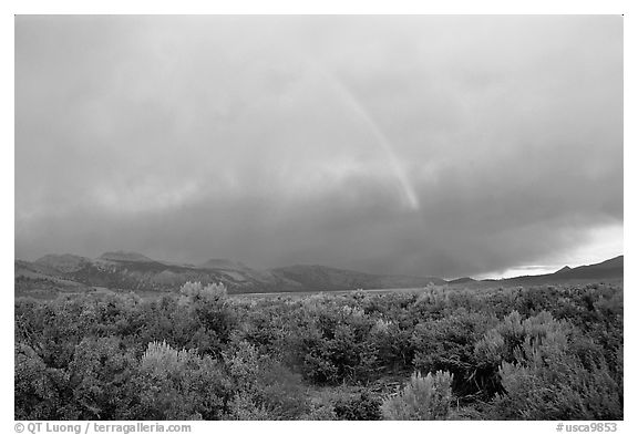 Rainbow and storm over Mono Basin, evening. Mono Lake, California, USA (black and white)