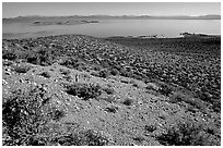Lake seen from Mono crater. Mono Lake, California, USA ( black and white)