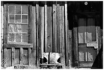 Window and wall, Ghost Town, Bodie State Park. California, USA (black and white)