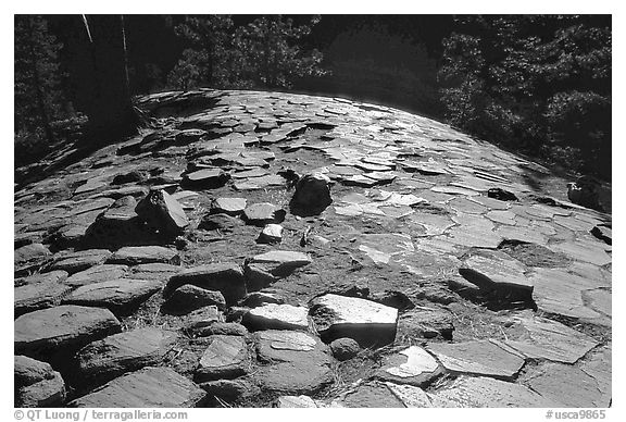 Hexagonal basalt tiles, afternoon, Devils Postpile National Monument. California, USA (black and white)