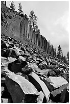 Blocks and columns of basalt, Devils Postpile National Monument. California, USA ( black and white)