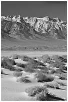 Sierra Nevada Range rising abruptly above Owens Valley. California, USA ( black and white)