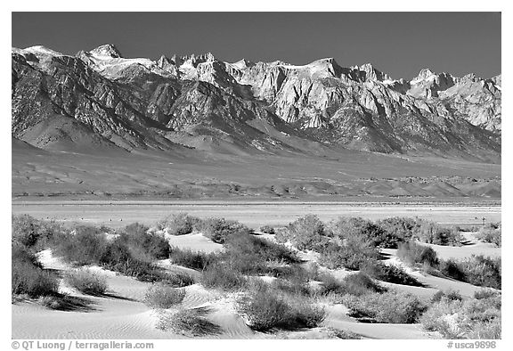 Sierra Nevada mountains rising abruptly above Owens Valley. California, USA