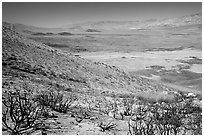 Owens Valley seen from the Sierra Nevada mountains. California, USA ( black and white)