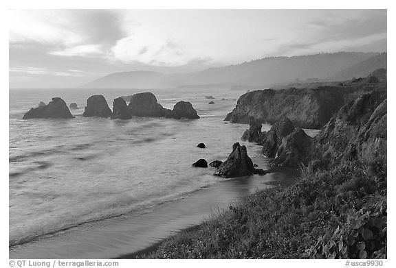 Coast with sea stacks near Rockport. California, USA