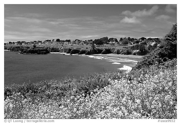 Spring wildflowefrs and Ocean, town on a bluff. Mendocino, California, USA (black and white)