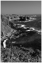 Cliffs and surf near Fort Bragg. California, USA (black and white)