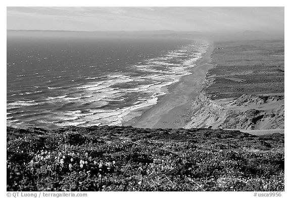 Point Reyes Beach, afternoon. Point Reyes National Seashore, California, USA