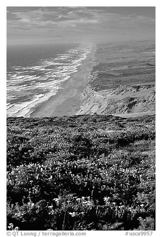 Point Reyes Beach, afternoon. Point Reyes National Seashore, California, USA (black and white)