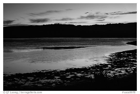 Bolinas Lagoon, sunset. California, USA (black and white)