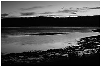 Bolinas Lagoon, sunset. California, USA (black and white)