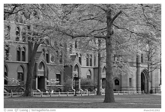 Courtyard and Lawrance Hall, Old Campus. Yale University, New Haven, Connecticut, USA (black and white)