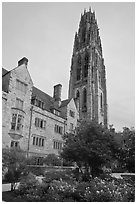 Harkness Tower. Yale University, New Haven, Connecticut, USA ( black and white)