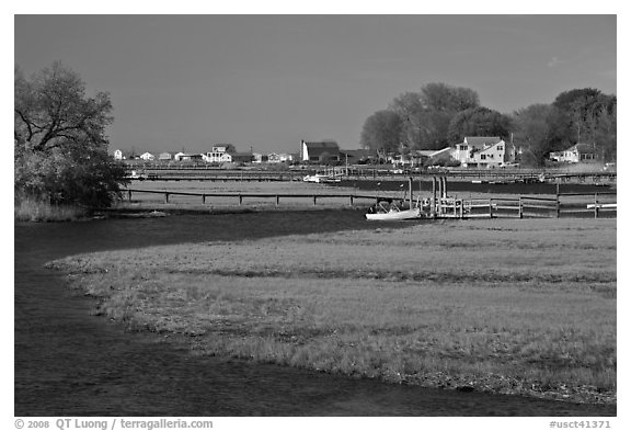Oyster River, grasses, and houses, Old Saybrook. Connecticut, USA (black and white)