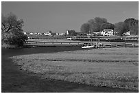 Oyster River, grasses, and houses, Old Saybrook. Connecticut, USA (black and white)