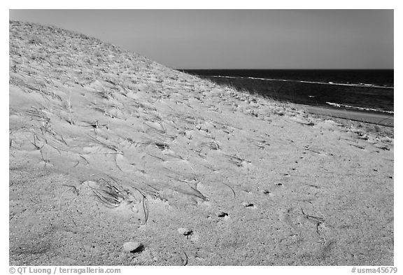 Sand dune and ocean, early morning, Coast Guard Beach, Cape Cod National Seashore. Cape Cod, Massachussets, USA (black and white)