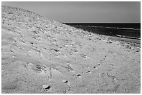 Sand dune and ocean, early morning, Coast Guard Beach, Cape Cod National Seashore. Cape Cod, Massachussets, USA (black and white)