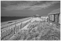 Cottages and beach, Truro. Cape Cod, Massachussets, USA ( black and white)
