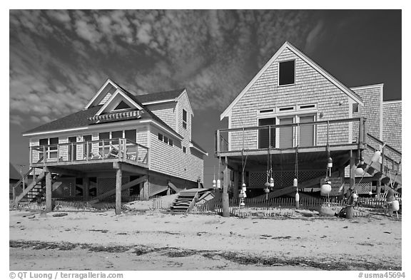 Beach houses, Truro. Cape Cod, Massachussets, USA (black and white)