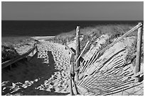 Path to beach and ocean framed by sand fences, Cape Cod National Seashore. Cape Cod, Massachussets, USA (black and white)